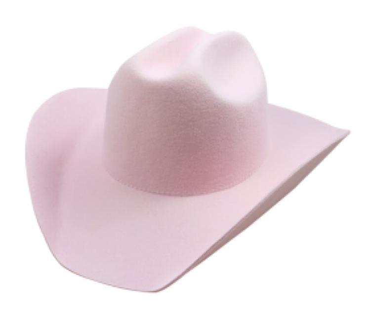 OEM/ODM-Cowboy Hat1(MOQ: 5 Units)