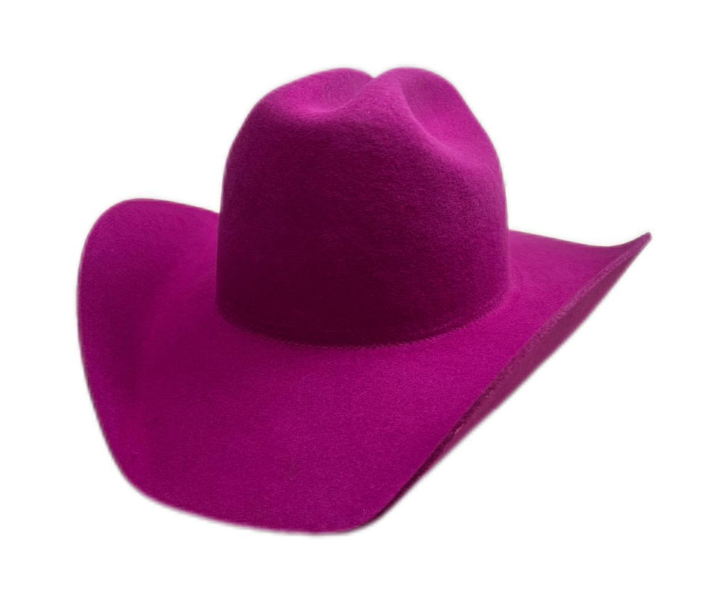 OEM/ODM-Cowboy Hat1(MOQ: 5 Units)