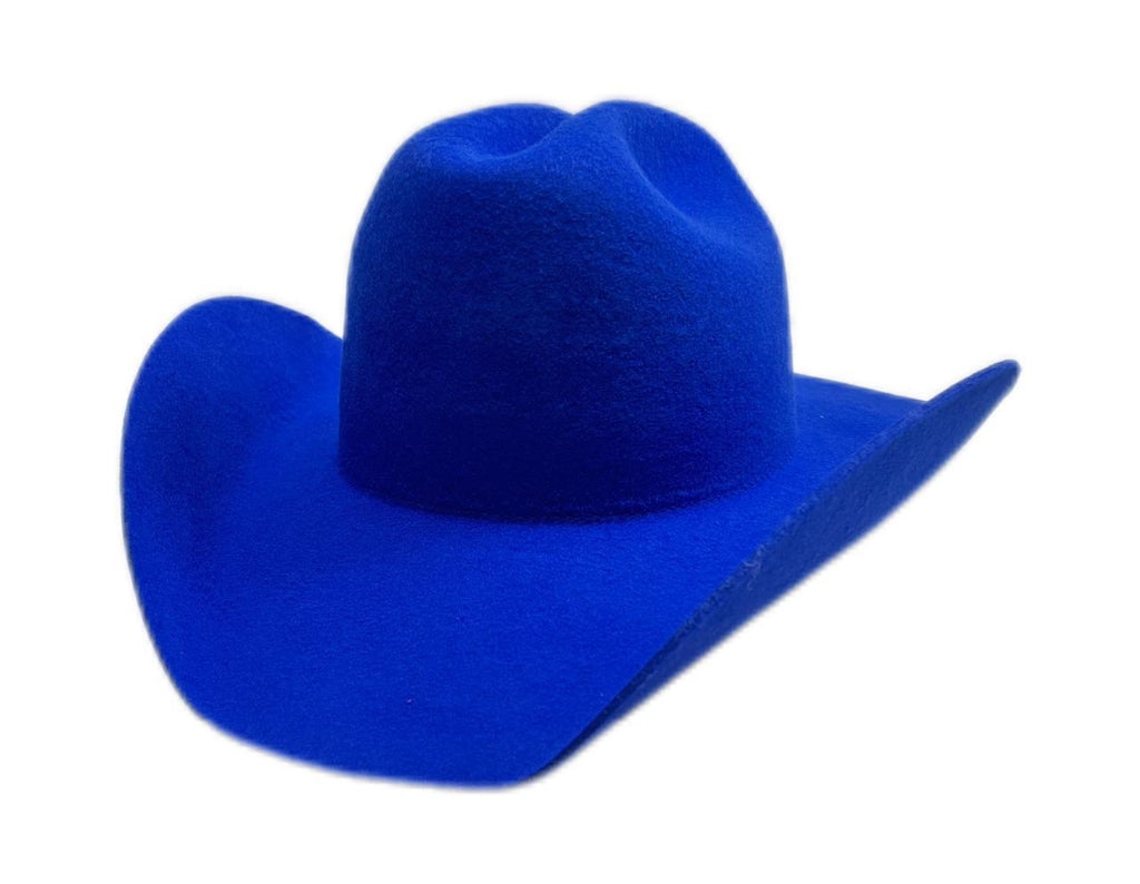 OEM/ODM-Cowboy Hat1(MOQ: 5 Units)
