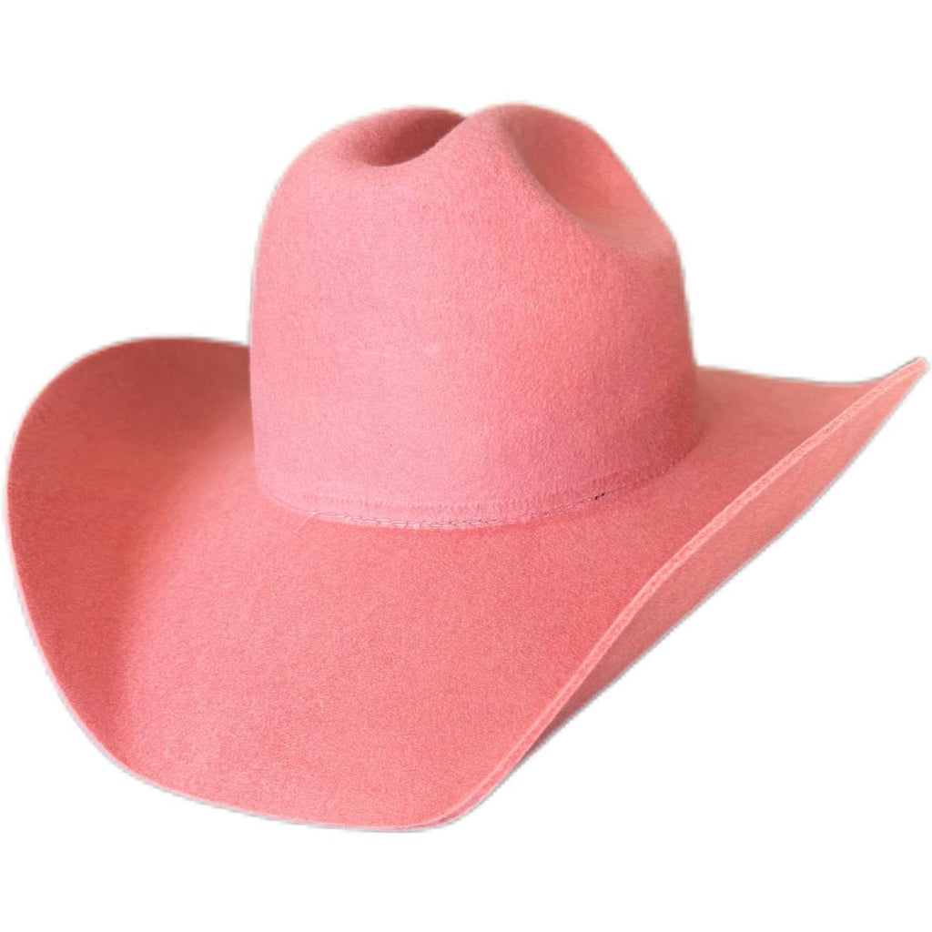 OEM/ODM-Cowboy Hat1(MOQ: 5 Units)