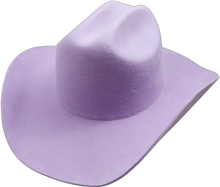 OEM/ODM-Cowboy Hat(MOQ: 5 Units)
